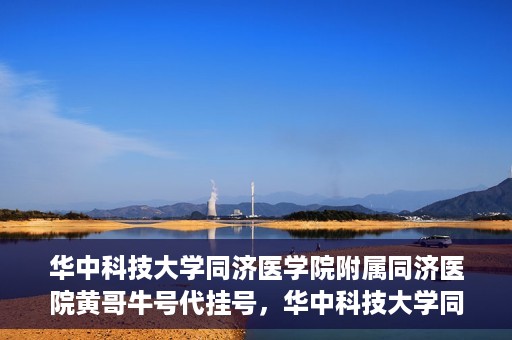 华中科技大学同济医学院附属同济医院黄哥牛号代挂号，华中科技大学同济医院黄哥牛号代挂号背后的故事