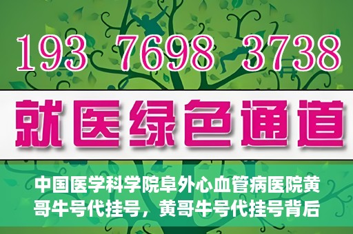 中国医学科学院阜外心血管病医院黄哥牛号代挂号，黄哥牛号代挂号背后的故事，阜外心血管病医院的探索与挑战