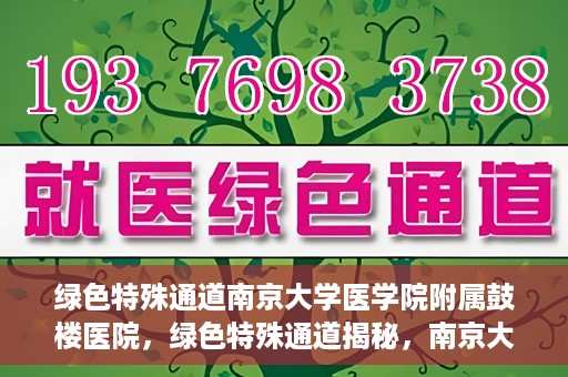 绿色特殊通道南京大学医学院附属鼓楼医院，绿色特殊通道揭秘，南京大学医学院附属鼓楼医院的探索与实践