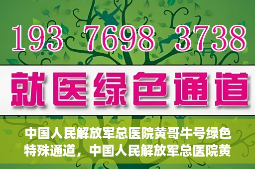 中国人民解放军总医院黄哥牛号绿色特殊通道，中国人民解放军总医院黄哥牛号，绿色特殊通道开启健康之门