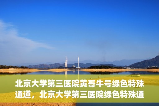 北京大学第三医院黄哥牛号绿色特殊通道，北京大学第三医院绿色特殊通道，黄哥牛号的探索与实践