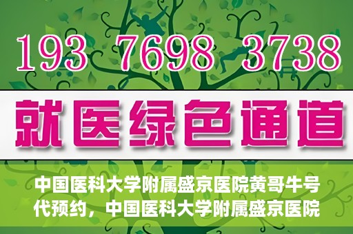 中国医科大学附属盛京医院黄哥牛号代预约，中国医科大学附属盛京医院黄哥牛号预约服务解析