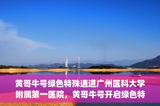 黄哥牛号绿色特殊通道广州医科大学附属第一医院，黄哥牛号开启绿色特殊通道，广州医科大学附属第一医院创新医疗体验