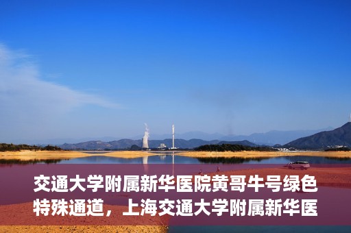 交通大学附属新华医院黄哥牛号绿色特殊通道，上海交通大学附属新华医院黄哥牛号绿色就医特殊通道解析