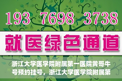 浙江大学医学院附属第一医院黄哥牛号预约挂号，浙江大学医学院附属第一医院黄哥牛号预约挂号攻略详解
