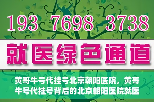 黄哥牛号代挂号北京朝阳医院，黄哥牛号代挂号背后的北京朝阳医院就医现象观察