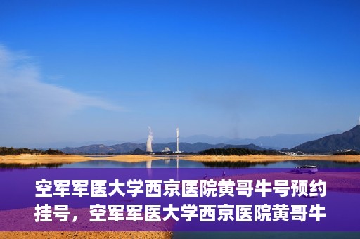 空军军医大学西京医院黄哥牛号预约挂号，空军军医大学西京医院黄哥牛医生预约挂号攻略