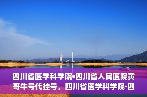 四川省医学科学院•四川省人民医院黄哥牛号代挂号，四川省医学科学院·四川省人民医院黄哥牛号——便捷挂号新体验