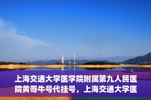 上海交通大学医学院附属第九人民医院黄哥牛号代挂号，上海交通大学医学院附属第九人民医院黄哥牛号助您轻松预约挂号