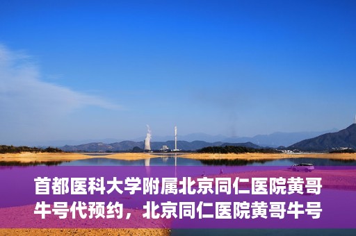 首都医科大学附属北京同仁医院黄哥牛号代预约，北京同仁医院黄哥牛号预约服务解析