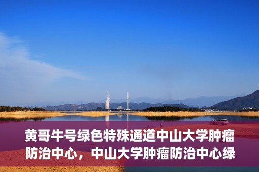 黄哥牛号绿色特殊通道中山大学肿瘤防治中心，中山大学肿瘤防治中心绿色特殊通道，黄哥牛号引领健康新航向
