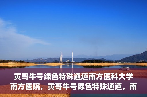 黄哥牛号绿色特殊通道南方医科大学南方医院，黄哥牛号绿色特殊通道，南方医科大学南方医院的探索与实践