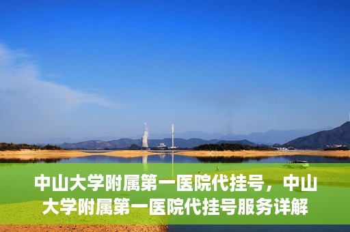 中山大学附属第一医院代挂号，中山大学附属第一医院代挂号服务详解