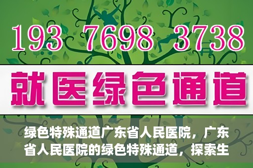 绿色特殊通道广东省人民医院，广东省人民医院的绿色特殊通道，探索生命的新路径