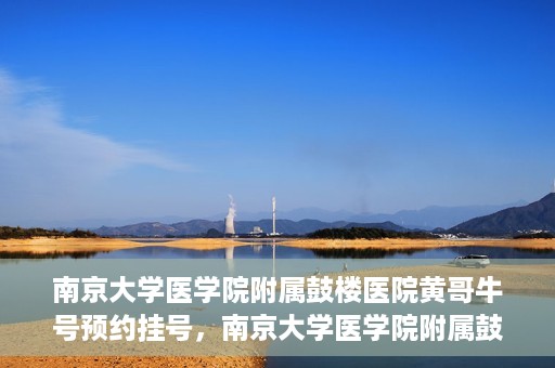 南京大学医学院附属鼓楼医院黄哥牛号预约挂号，南京大学医学院附属鼓楼医院黄哥牛号预约挂号攻略解析