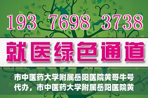 市中医药大学附属岳阳医院黄哥牛号代办，市中医药大学附属岳阳医院黄哥牛号代办，一站式医疗服务的信赖之选