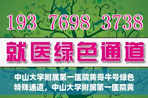 中山大学附属第一医院黄哥牛号绿色特殊通道，中山大学附属第一医院黄哥牛号，绿色特殊通道开启健康之门