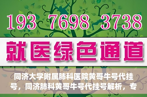 同济大学附属肺科医院黄哥牛号代挂号，同济肺科黄哥牛号代挂号解析，专业医疗服务的深度解读