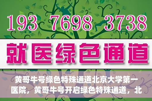 黄哥牛号绿色特殊通道北京大学第一医院，黄哥牛号开启绿色特殊通道，北京大学第一医院全力护航健康之路