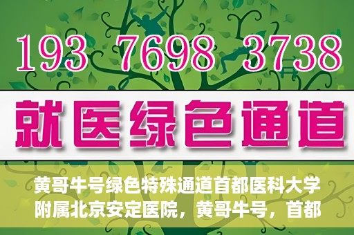 黄哥牛号绿色特殊通道首都医科大学附属北京安定医院，黄哥牛号，首都医科大学附属北京安定医院的绿色特殊通道揭秘