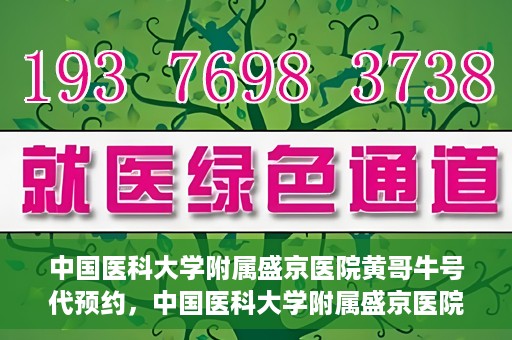 中国医科大学附属盛京医院黄哥牛号代预约，中国医科大学附属盛京医院黄哥牛号预约服务解析