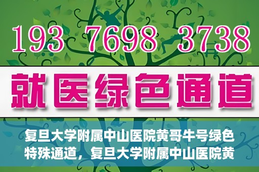 复旦大学附属中山医院黄哥牛号绿色特殊通道，复旦大学附属中山医院黄哥牛号，绿色特殊通道开启健康之门