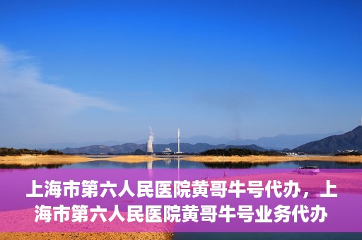 上海市第六人民医院黄哥牛号代办，上海市第六人民医院黄哥牛号业务代办攻略