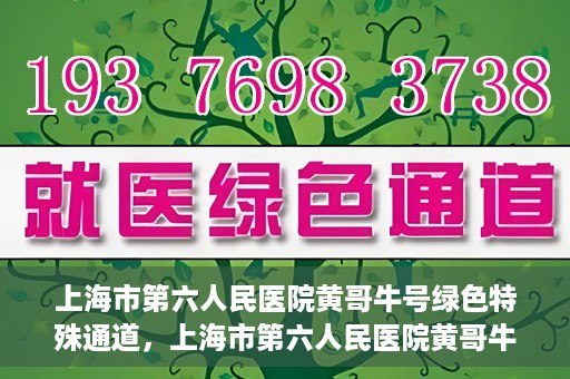 上海市第六人民医院黄哥牛号绿色特殊通道，上海市第六人民医院黄哥牛号，绿色特殊通道开启