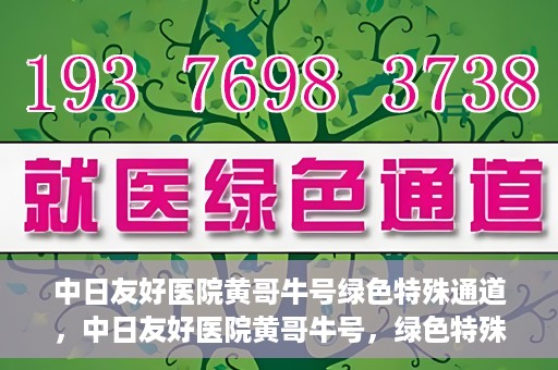 中日友好医院黄哥牛号绿色特殊通道，中日友好医院黄哥牛号，绿色特殊通道开启健康之门