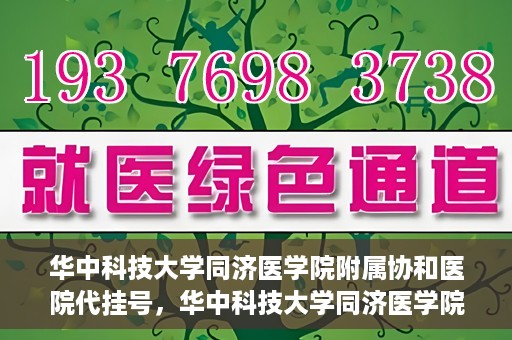华中科技大学同济医学院附属协和医院代挂号，华中科技大学同济医学院附属协和医院代挂号服务详解