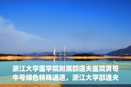 浙江大学医学院附属邵逸夫医院黄哥牛号绿色特殊通道，浙江大学邵逸夫医院绿色特殊通道，黄哥牛号引领医疗新风尚
