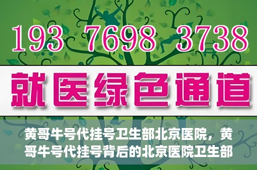 黄哥牛号代挂号卫生部北京医院，黄哥牛号代挂号背后的北京医院卫生部揭秘