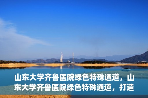 山东大学齐鲁医院绿色特殊通道，山东大学齐鲁医院绿色特殊通道，打造健康新通道，引领医疗新时代