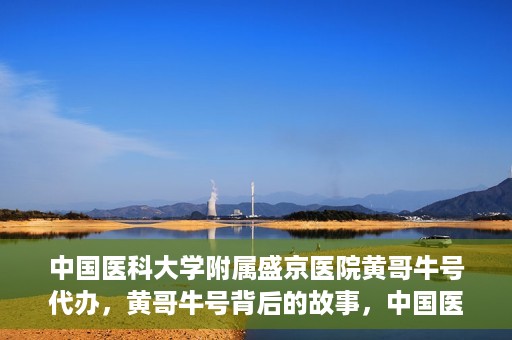 中国医科大学附属盛京医院黄哥牛号代办，黄哥牛号背后的故事，中国医科大学附属盛京医院的信赖之选