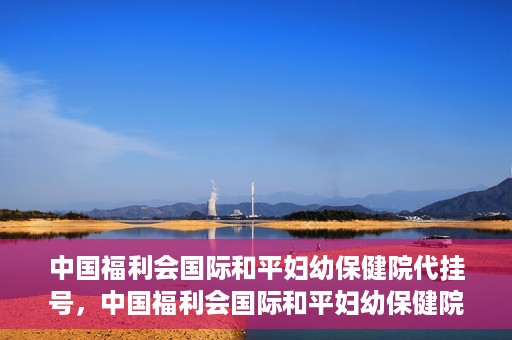 中国福利会国际和平妇幼保健院代挂号，中国福利会国际和平妇幼保健院便捷代挂号服务