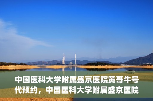 中国医科大学附属盛京医院黄哥牛号代预约，中国医科大学附属盛京医院黄哥牛号预约服务解析