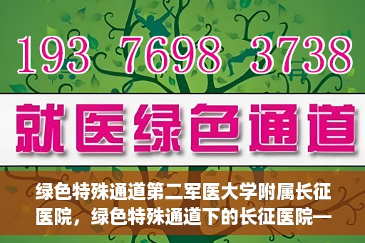 绿色特殊通道第二军医大学附属长征医院，绿色特殊通道下的长征医院——第二军医大学附属长征医院探索与实践