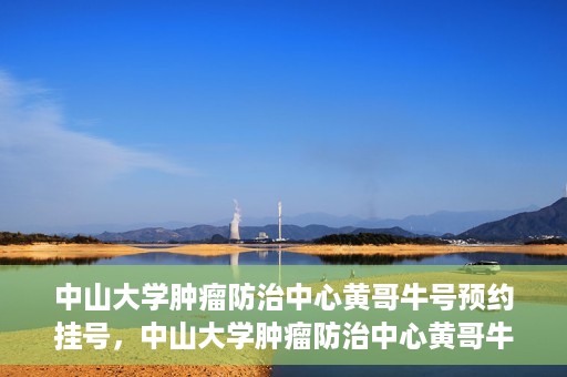 中山大学肿瘤防治中心黄哥牛号预约挂号，中山大学肿瘤防治中心黄哥牛号预约挂号攻略解析