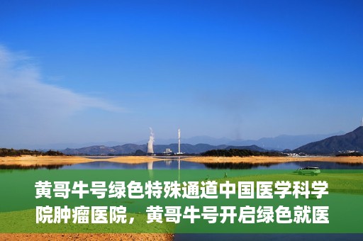 黄哥牛号绿色特殊通道中国医学科学院肿瘤医院，黄哥牛号开启绿色就医通道，中国医学科学院肿瘤医院专注诊疗新篇章