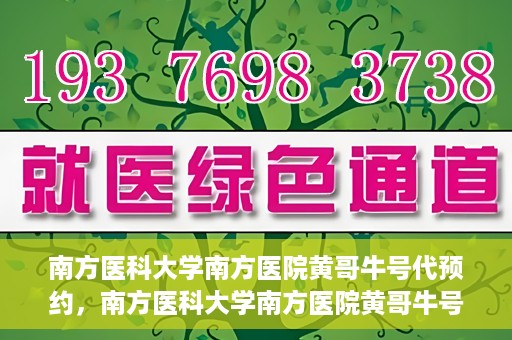南方医科大学南方医院黄哥牛号代预约，南方医科大学南方医院黄哥牛号预约服务解析