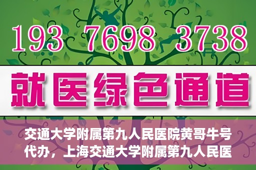 交通大学附属第九人民医院黄哥牛号代办，上海交通大学附属第九人民医院黄哥牛号预约代办服务解析