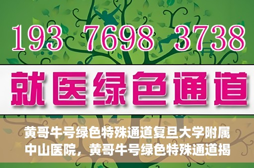 黄哥牛号绿色特殊通道复旦大学附属中山医院，黄哥牛号绿色特殊通道揭秘，复旦大学附属中山医院的独特之处
