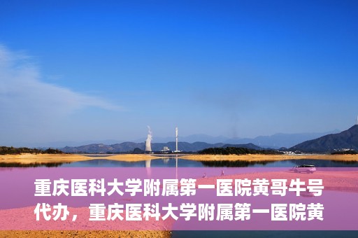 重庆医科大学附属第一医院黄哥牛号代办，重庆医科大学附属第一医院黄哥牛号代办服务详解