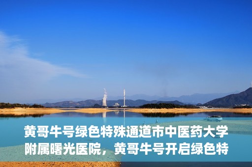 黄哥牛号绿色特殊通道市中医药大学附属曙光医院，黄哥牛号开启绿色特殊通道，市中医药大学附属曙光医院倾力打造健康新篇章