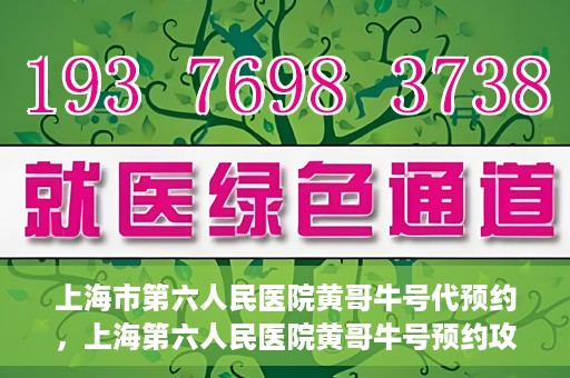 上海市第六人民医院黄哥牛号代预约，上海第六人民医院黄哥牛号预约攻略，轻松解决挂号难题