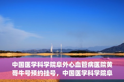 中国医学科学院阜外心血管病医院黄哥牛号预约挂号，中国医学科学院阜外心血管病医院黄哥牛号预约挂号指南，轻松挂号，健康无忧！