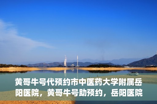 黄哥牛号代预约市中医药大学附属岳阳医院，黄哥牛号助预约，岳阳医院中医魅力体验之旅