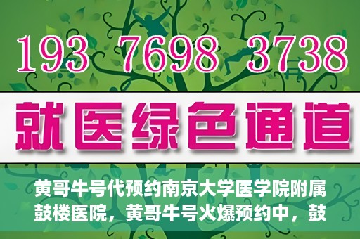 黄哥牛号代预约南京大学医学院附属鼓楼医院，黄哥牛号火爆预约中，鼓楼医院携手南京大学医学院开启健康新篇章