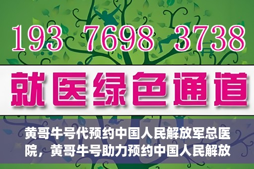 黄哥牛号代预约中国人民解放军总医院，黄哥牛号助力预约中国人民解放军总医院，一站式健康服务新体验