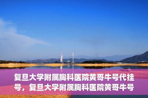 复旦大学附属胸科医院黄哥牛号代挂号，复旦大学附属胸科医院黄哥牛号代挂号攻略揭秘